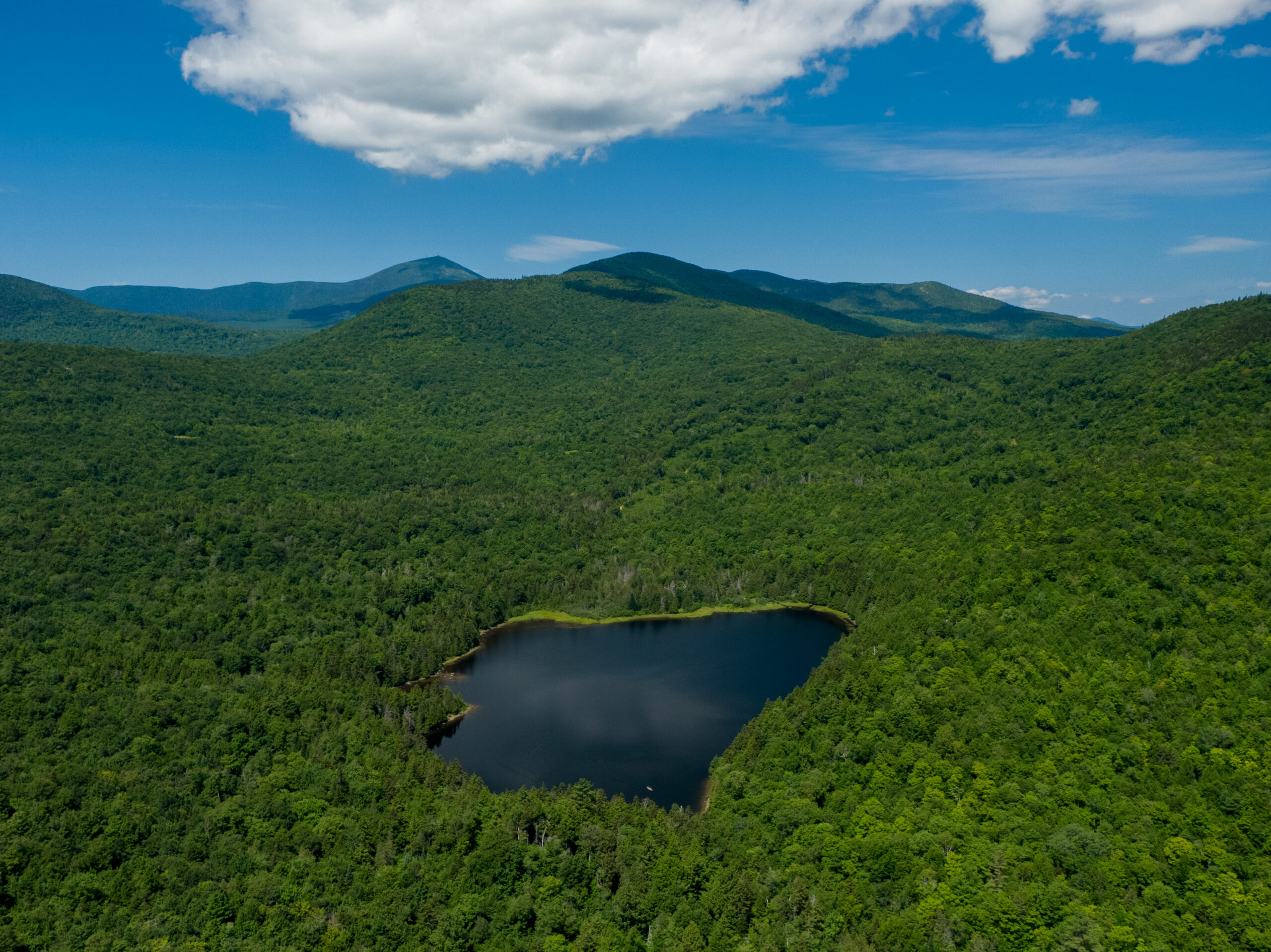 Shiloh Pond Community Forest | Shiloh Pond Community Forest | High Peaks Alliance