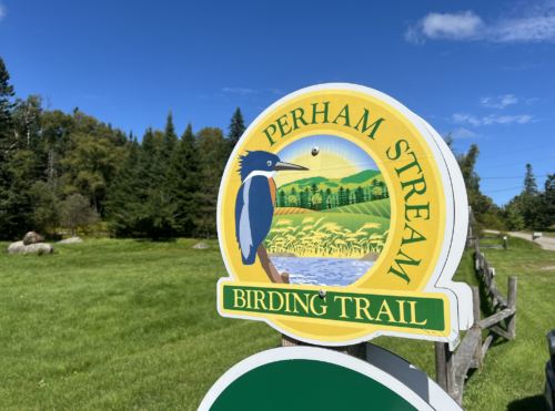 Perham Stream's <strong>Natural Wealth</strong> | Perham Stream Birding Trail | High Peaks Alliance