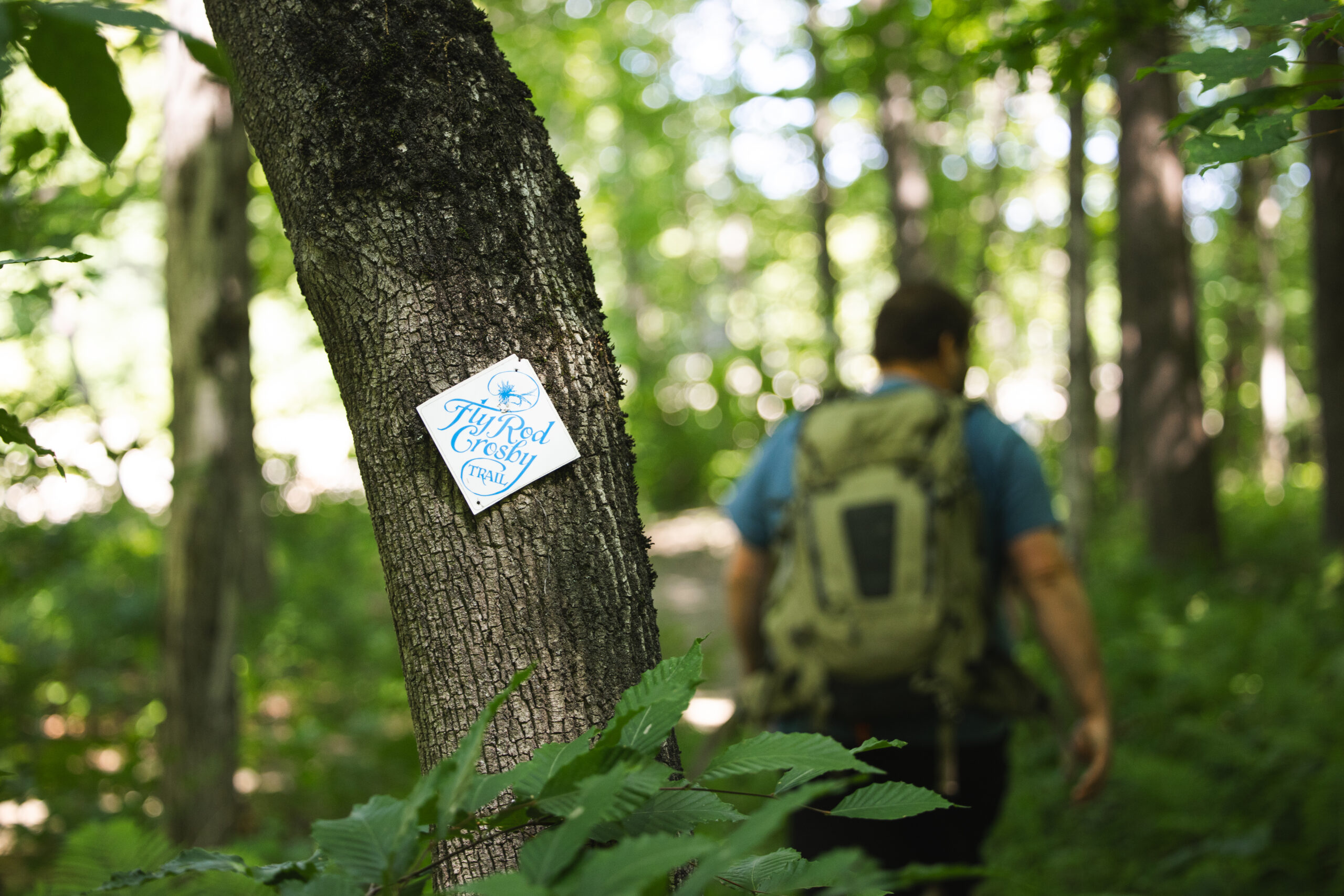 Fly Rod Crosby Trail | Fly Rod Crosby Trail | High Peaks Alliance