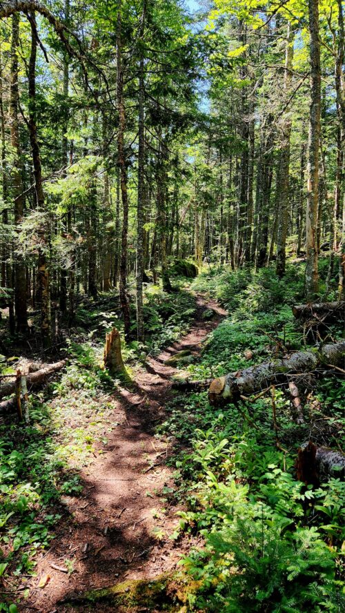 The Hidden Impact of Every Step | Voices of the High Peaks: Ken Beaulieu, Trail Steward | High Peaks Alliance