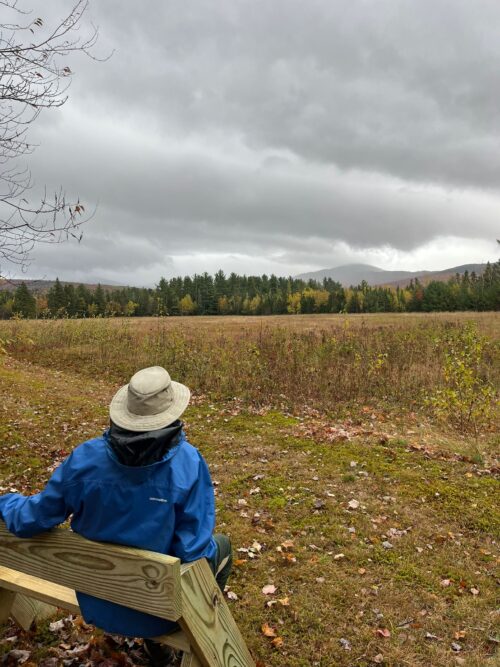 A Simple Bench, <strong>A Big Impact</strong> | Alliance Receives Donation for Benches on Perham Stream Birding Trail | High Peaks Alliance