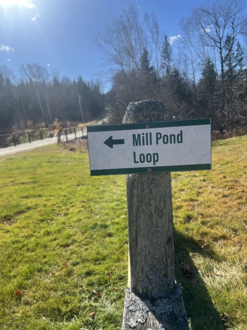 <Strong>Many Hands Make </strong>Light Work | Enhancements at Perham Stream Birding Trail | High Peaks Alliance