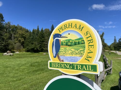 <strong>Many Hands</strong>, Light Work | Alliance Seeks Stewards for Perham Stream Birding Trail | High Peaks Alliance