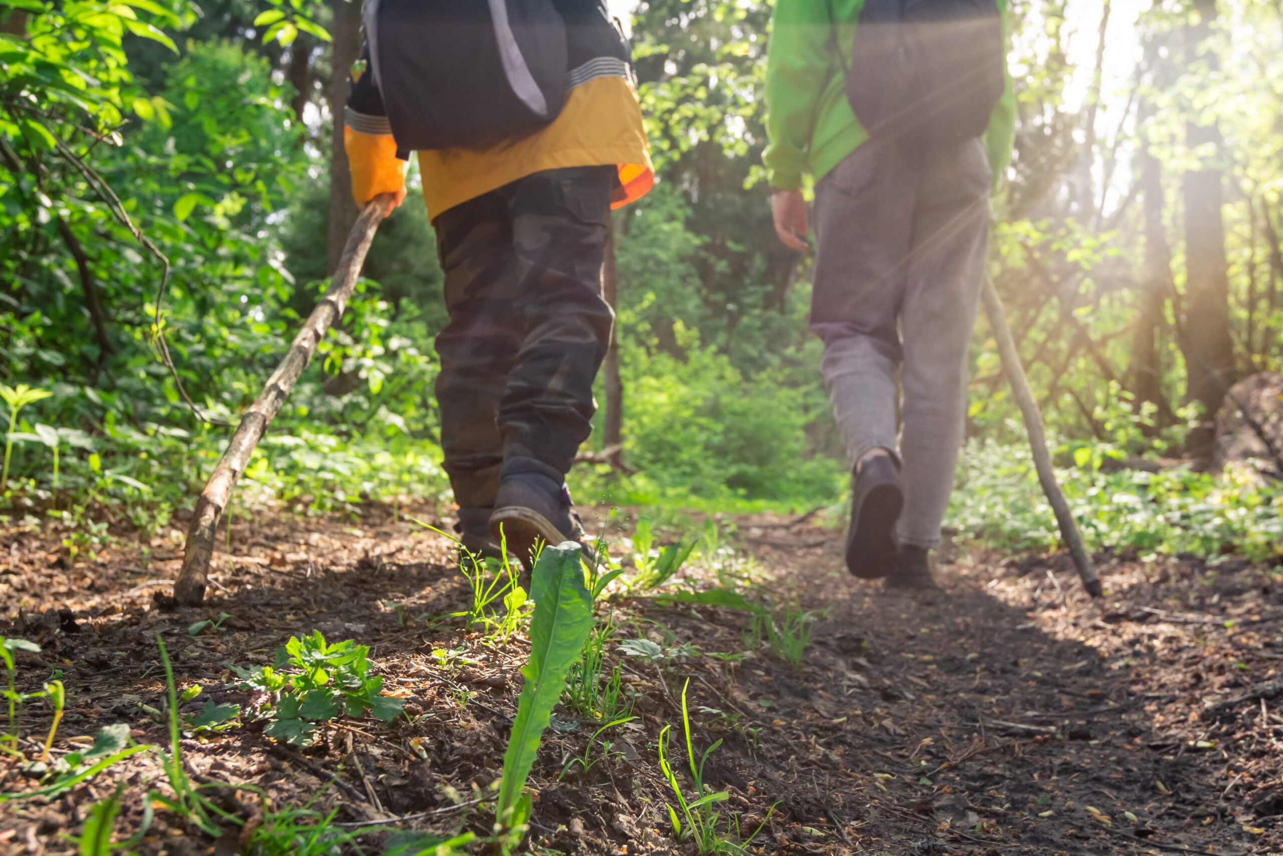 Two children hiking with backpacks and canes walk along forest path on sunny spring day. View from rear to feet and boots of backpackers. Exploration route through wild woods. Family adventure, trail