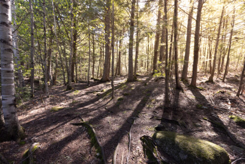 Shape the Future | Mosher Hill Falls | High Peaks Alliance