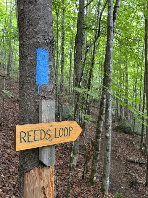 Reeds Loop, Madrid Township | Fly Rod Crosby Trails | High Peaks Alliance
