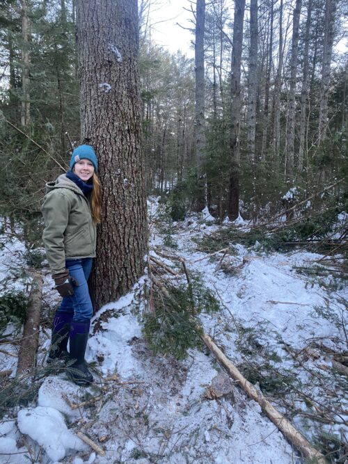 Get to Know Your <strong>District Forester</strong> | Voices of the High Peaks: Julie Davenport, District Forester | High Peaks Alliance
