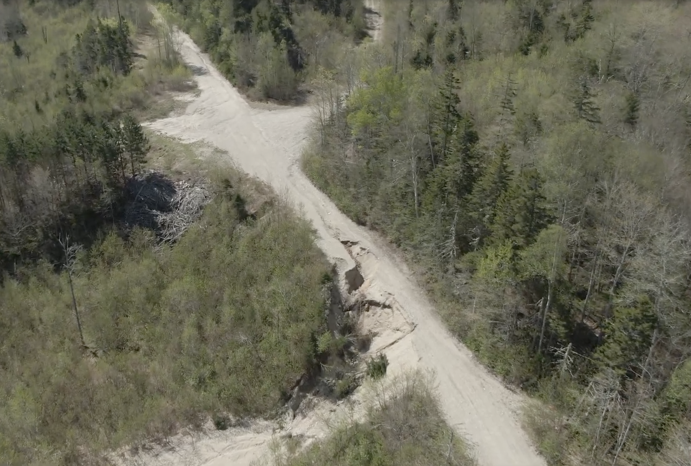 Bemis Track | Bemis Track | High Peaks Alliance
