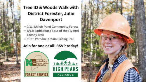 Tree ID Series with Julie | Voices of the High Peaks: Julie Davenport, District Forester | High Peaks Alliance