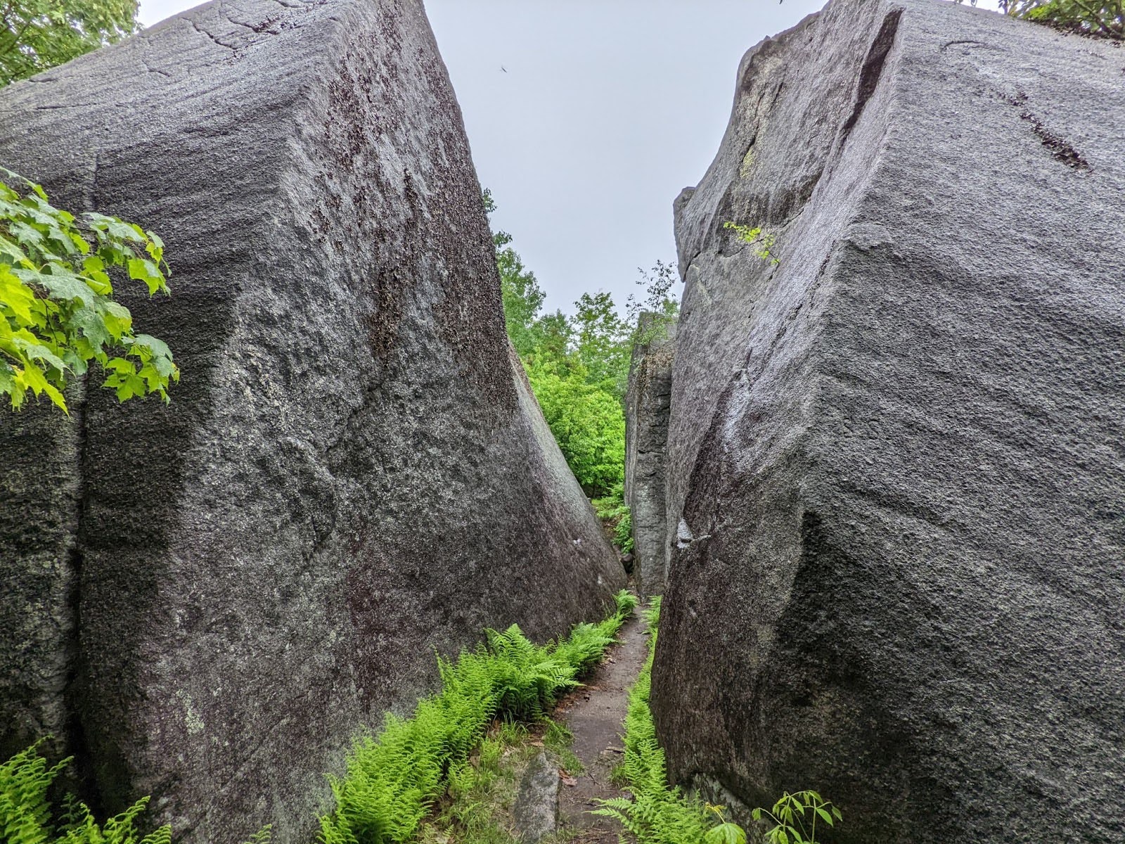  | Daggett Rock Brochure | High Peaks Alliance