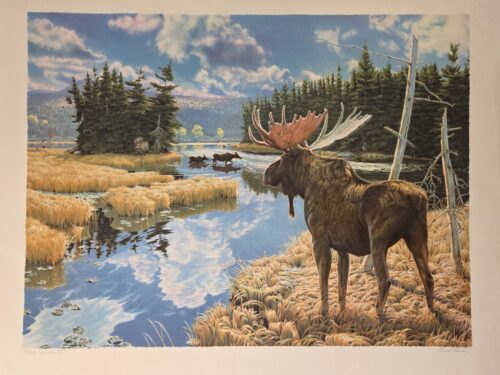 Art That Connects Us | Maine Artist Ronal Parlin’s Prints Gifted to the Alliance | High Peaks Alliance
