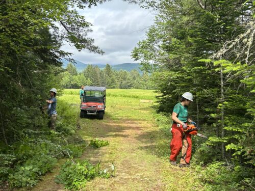 We need you | Trail Days Ahead: Come Help Out with High Peaks Alliance | High Peaks Alliance