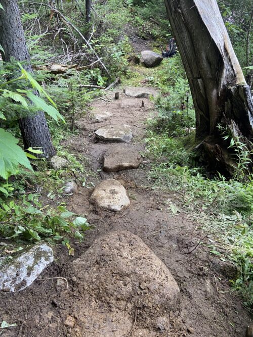 At Perham Stream Birding Trail | Join Us for Day 2: Volunteer Trail Work at Perham Stream Birding Trail | High Peaks Alliance