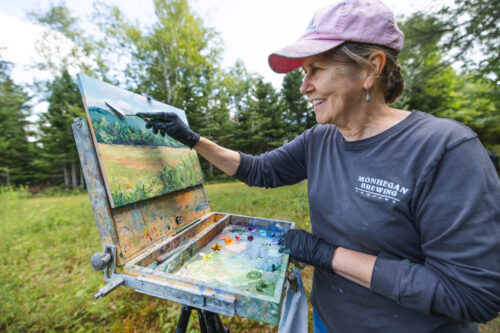 Painting the High Peaks  | Local Artist Nora West Wins Plein Air Honor Inspired by High Peaks Region | High Peaks Alliance