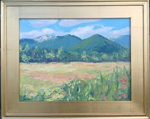 En Plein Air & Mountain Magic | Local Artist Nora West Wins Plein Air Honor Inspired by High Peaks Region | High Peaks Alliance