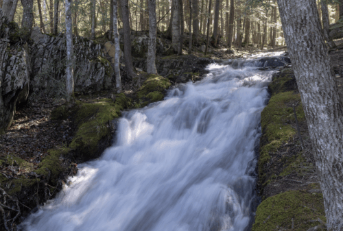 Conserving a Community Gem | Acorn Engineering & Alliance Join Forces on Mosher Hill Falls | High Peaks Alliance