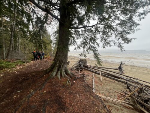 Better Together | Coming Together at the 2025 Maine Mountain Gathering | High Peaks Alliance