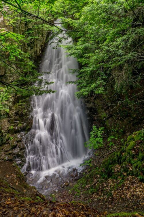 Voices Behind the Vision | Acme Land Surveying Sponsors Mosher Hill Falls Project | High Peaks Alliance