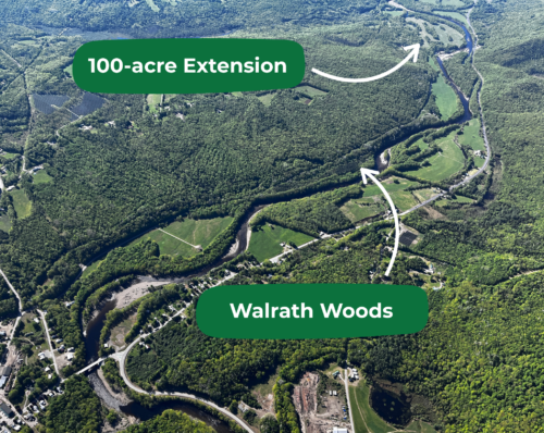 100-Acre Extension: Next Phase | High Peaks Alliance Conserves Walrath Woods, Advances Next Phase | High Peaks Alliance