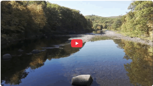 Alliance Announces Walrath Woods Project | High Peaks Alliance