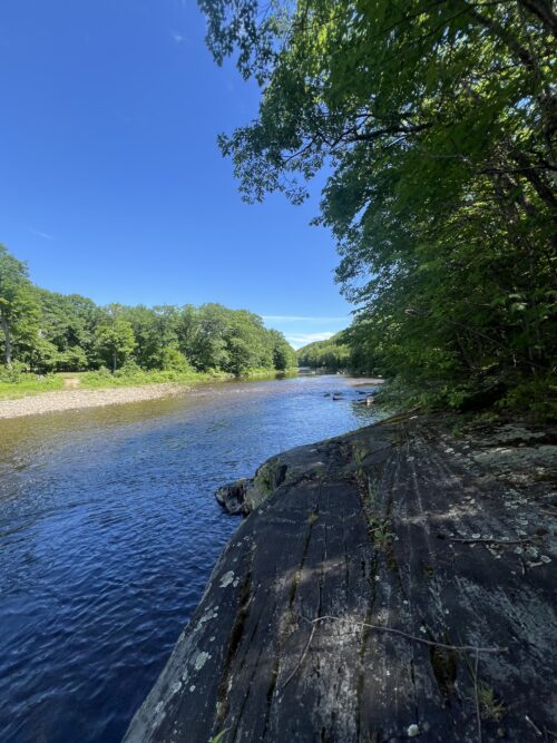 Visit Walrath Woods | Walrath Woods | High Peaks Alliance