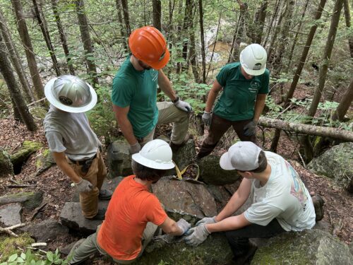 Trail Crew Member | Job Listings for High Peaks Ranger Corps | High Peaks Alliance