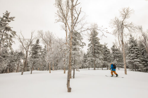 What Are Ski Glades? | Bald Mountain Glades | High Peaks Alliance