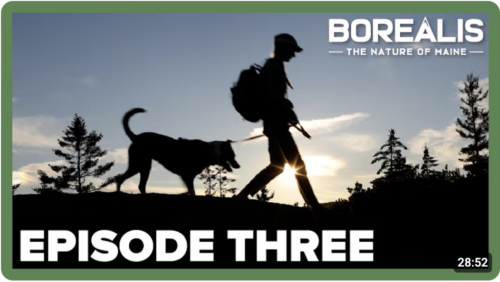 Borealis Steps onto the Fly Rod Crosby Trail | High Peaks Alliance