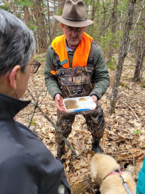 Meet Darin S. Schwartz, PhD, Master Naturalist | High Peaks Naturalist Series Documents Significant Vernal Pool | High Peaks Alliance