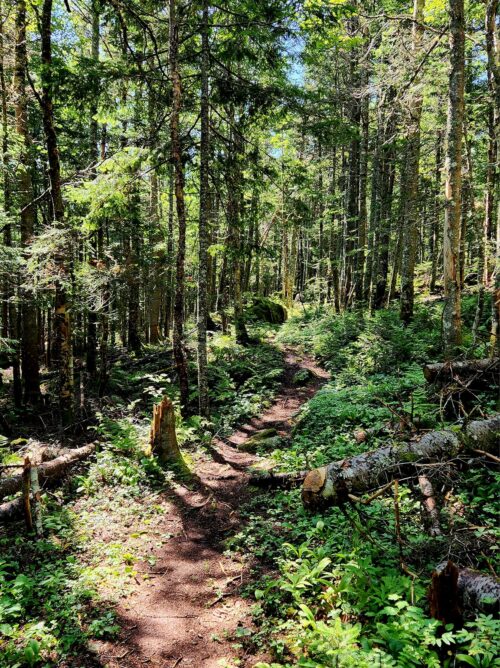 The Saddleback Spur, Dallas Plantation | Fly Rod Crosby Trails | High Peaks Alliance
