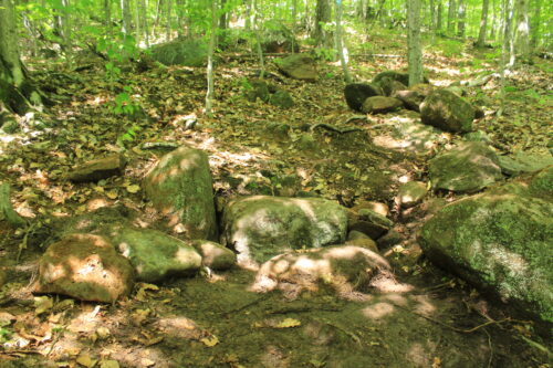 Many Hands, Lasting Impact | High Peaks Alliance Volunteer Trail Work Day | High Peaks Alliance