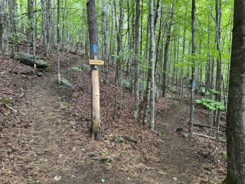 Gate C vs. Trailhead | Togetherness on the Trails | High Peaks Alliance
