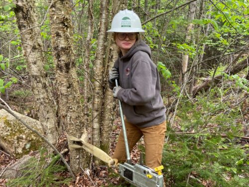 Lauren Mitchell | Meet the 2026 High Peaks Rec Rangers & Stewards | High Peaks Alliance