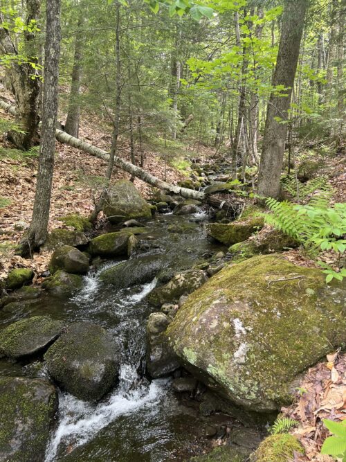 Carbon and Stewardship | Voices of the High Peaks: David Lovejoy | High Peaks Alliance