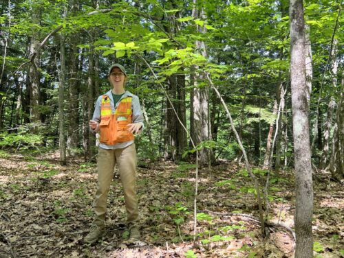 Celebrate and Explore | Access Improved for Mosher Hill Falls Trail | High Peaks Alliance