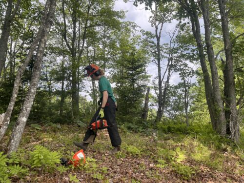 Creating workforce pathways | Building Pathways from Classroom to Conservation Careers | High Peaks Alliance