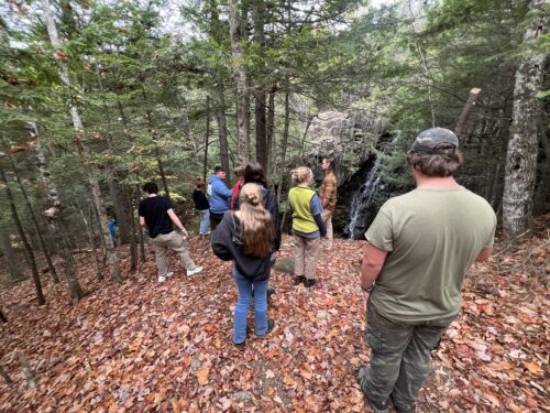 Hands-On Forest Education | High Peaks Alliance Receives Onion Foundation Grant to Expand Nature Learning  | High Peaks Alliance