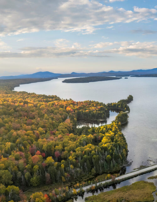 In Response to “Maine: A Lobster on Every Plate and a Moose on Every Driveway” | “That’s Exactly Why”: A Reader Responds to Recent Op-Ed | High Peaks Alliance