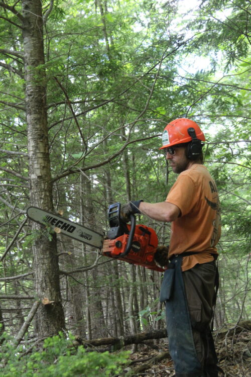 The Work Most People Never See | Voices of the High Peaks: Jake Treadway | High Peaks Alliance