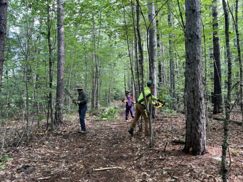 Volunteers Ready Walrath Woods | Volunteers Remove 28 Tires and Truckloads of Debris at Walrath Woods | High Peaks Alliance