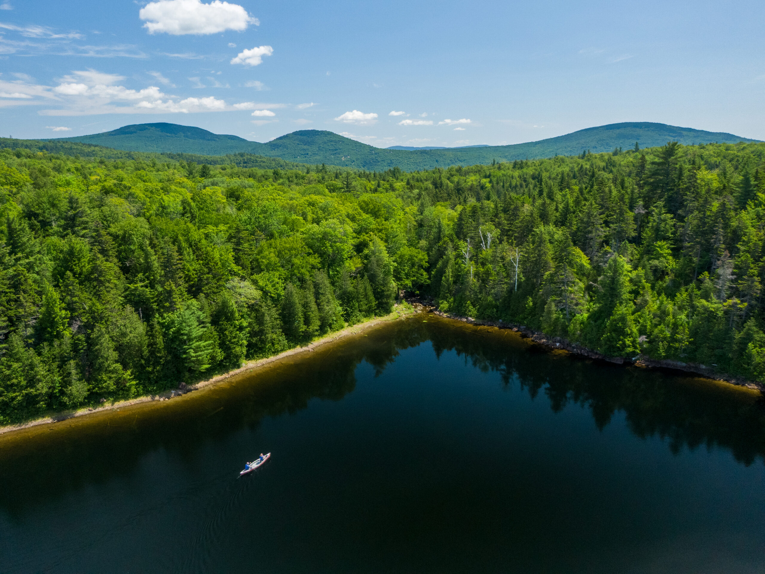 Cars for Conservation | Cars for Conservation | High Peaks Alliance