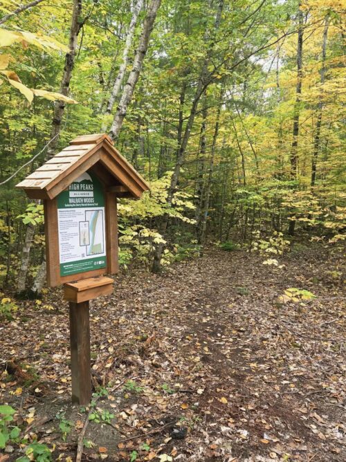 Walrath Woods Invites You | New Signs Are Up! Come Explore Walrath Woods | High Peaks Alliance